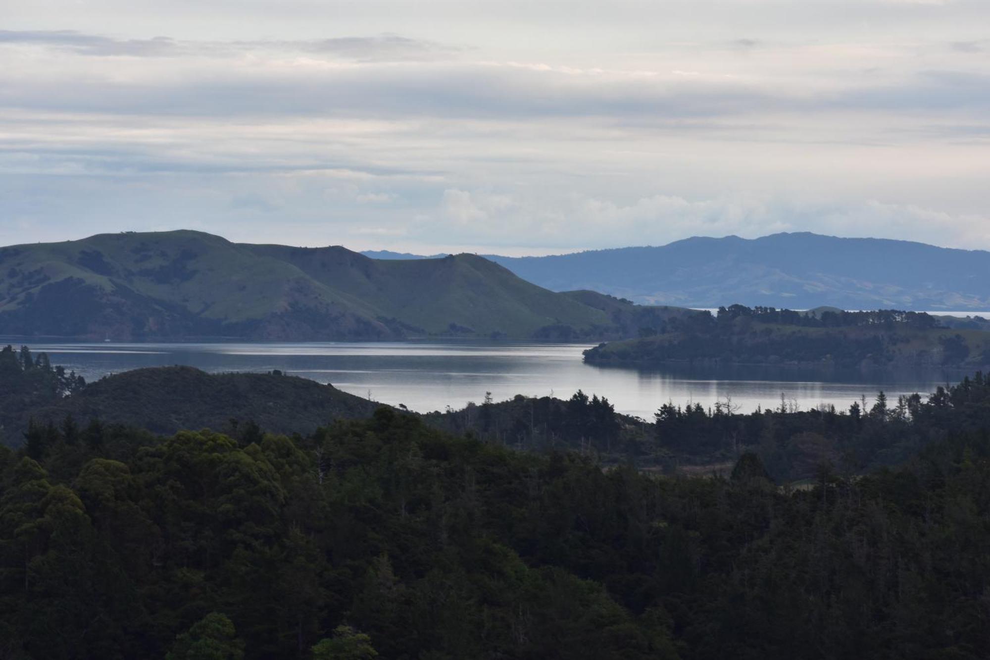 Atea Lodge Coromandel Esterno foto
